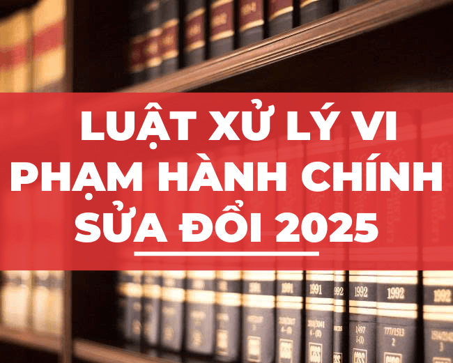 Những Điểm Mới Nổi Bật Trong Luật Sửa Đổi Năm 2025